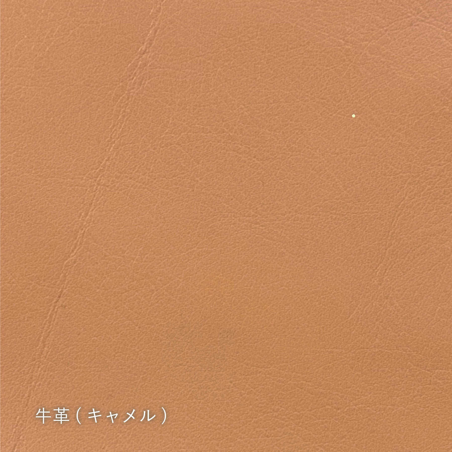 【生地タイプ】革張り(TENON)