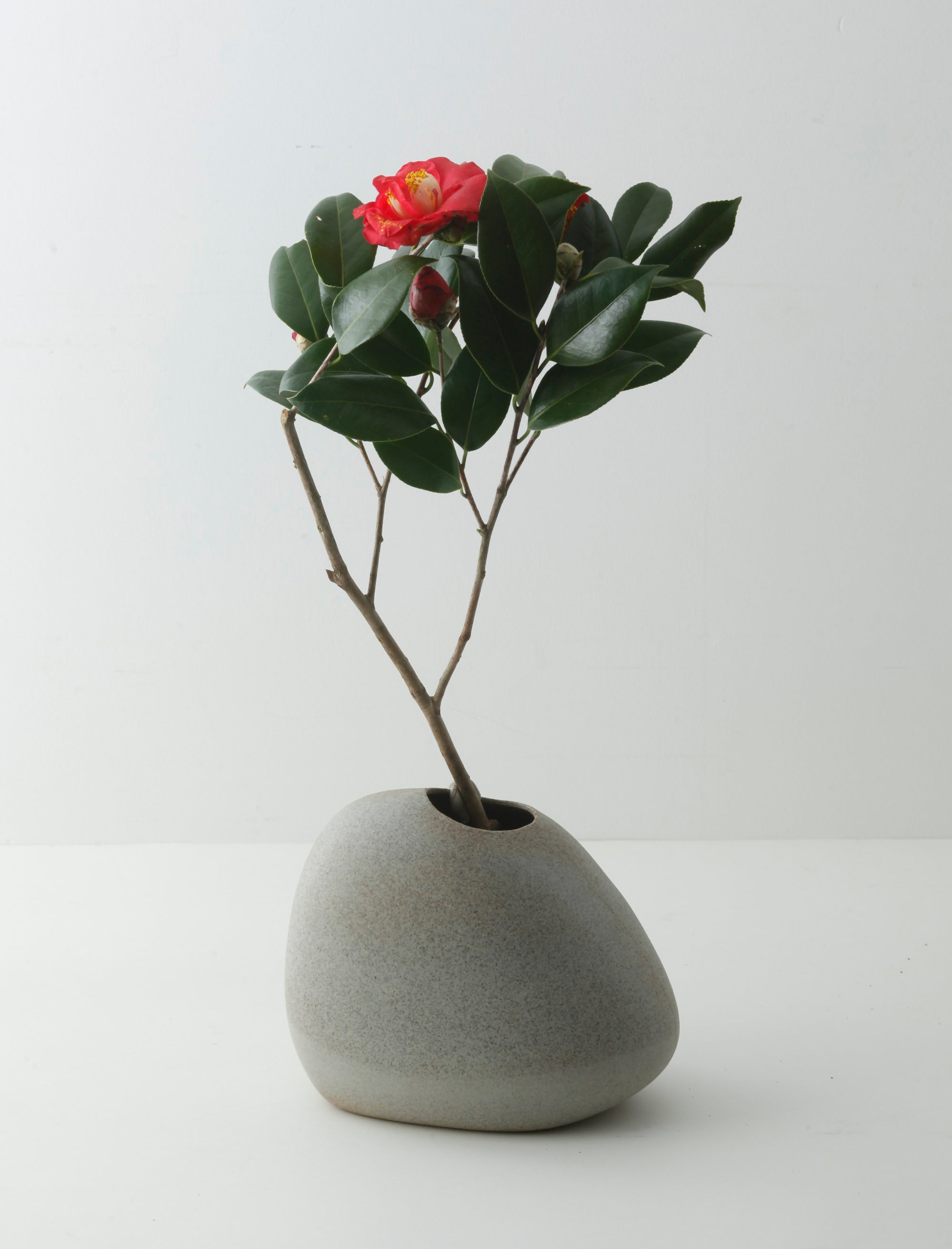 Flower vase(IWA)