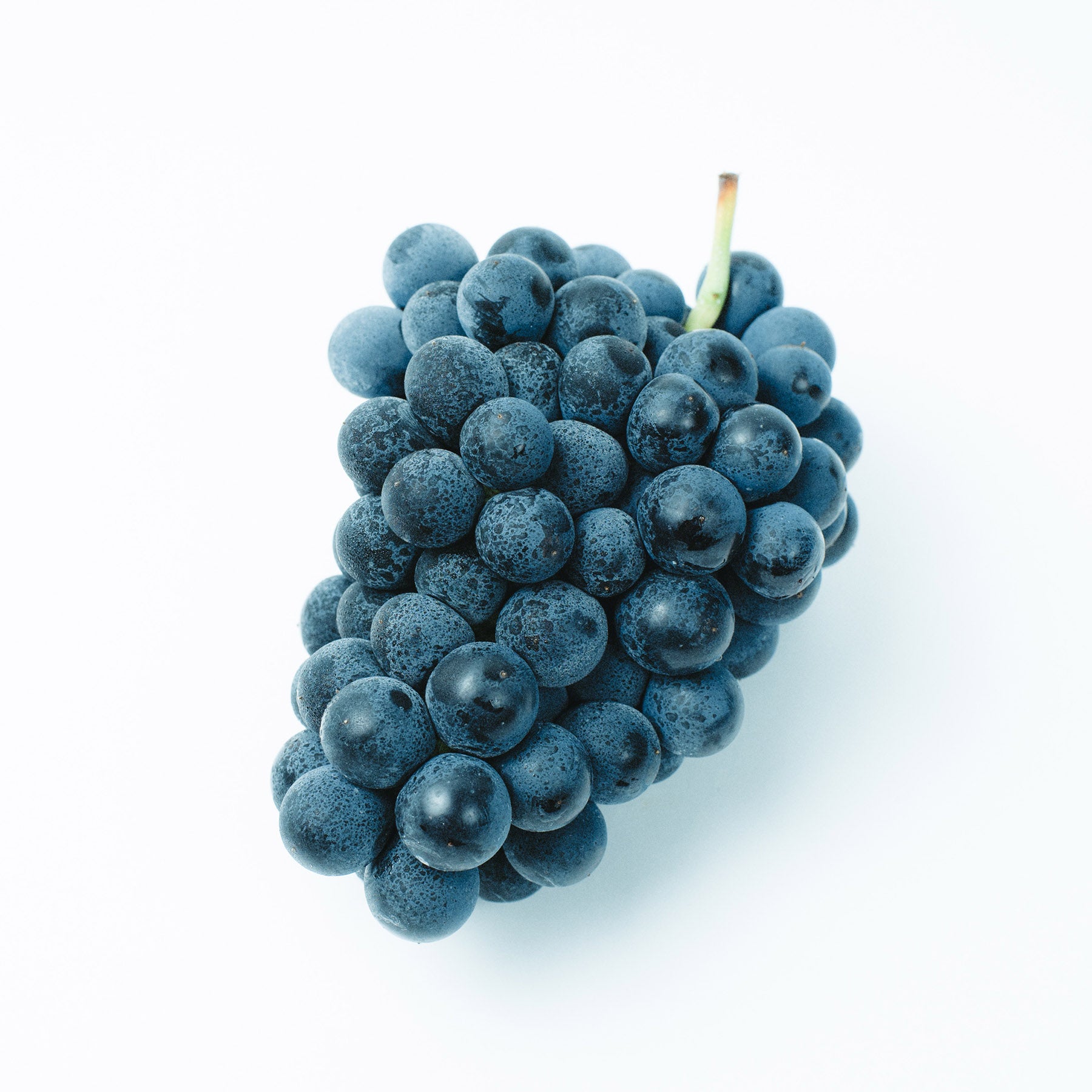 Black queen(ブラッククイーン)