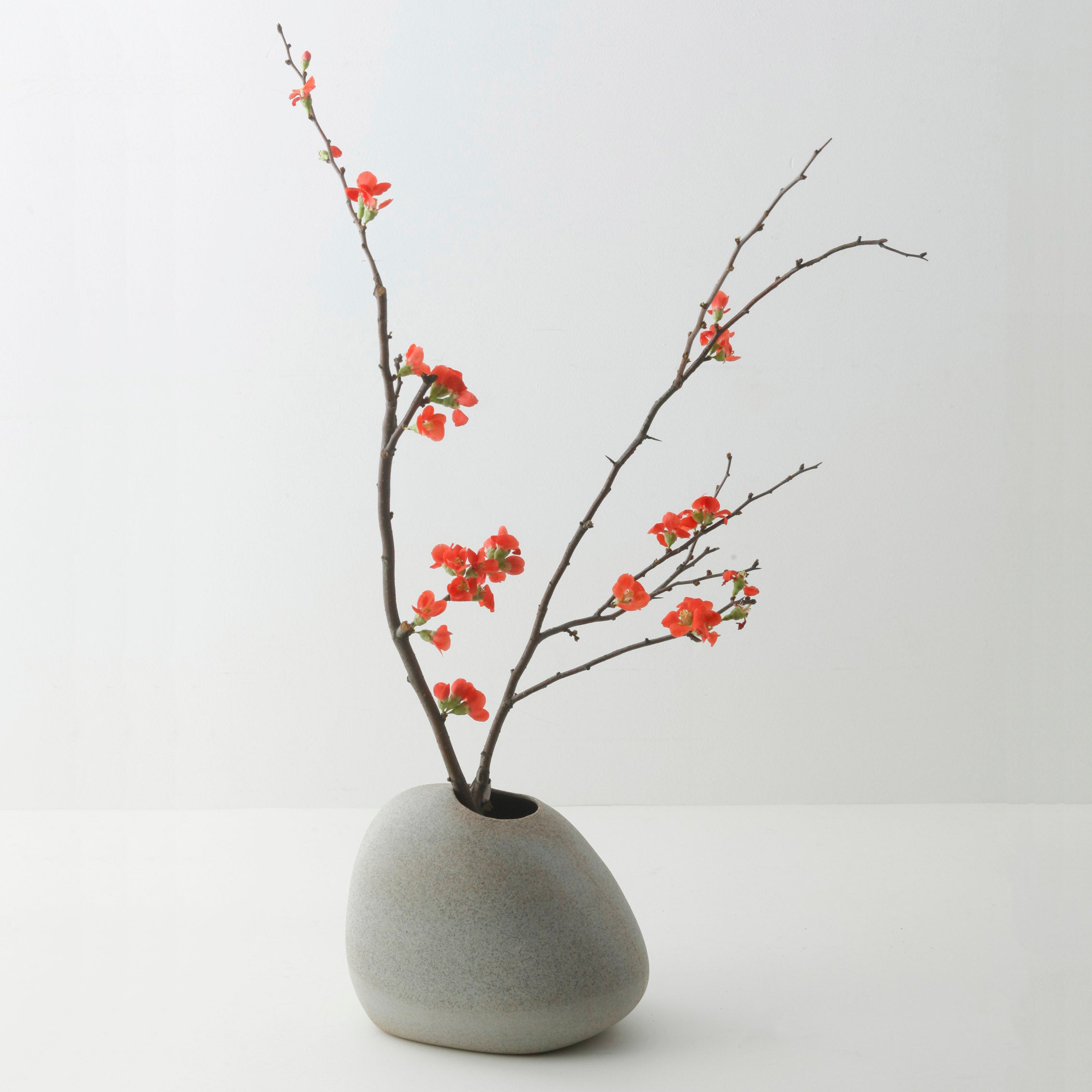 Flower vase(IWA)