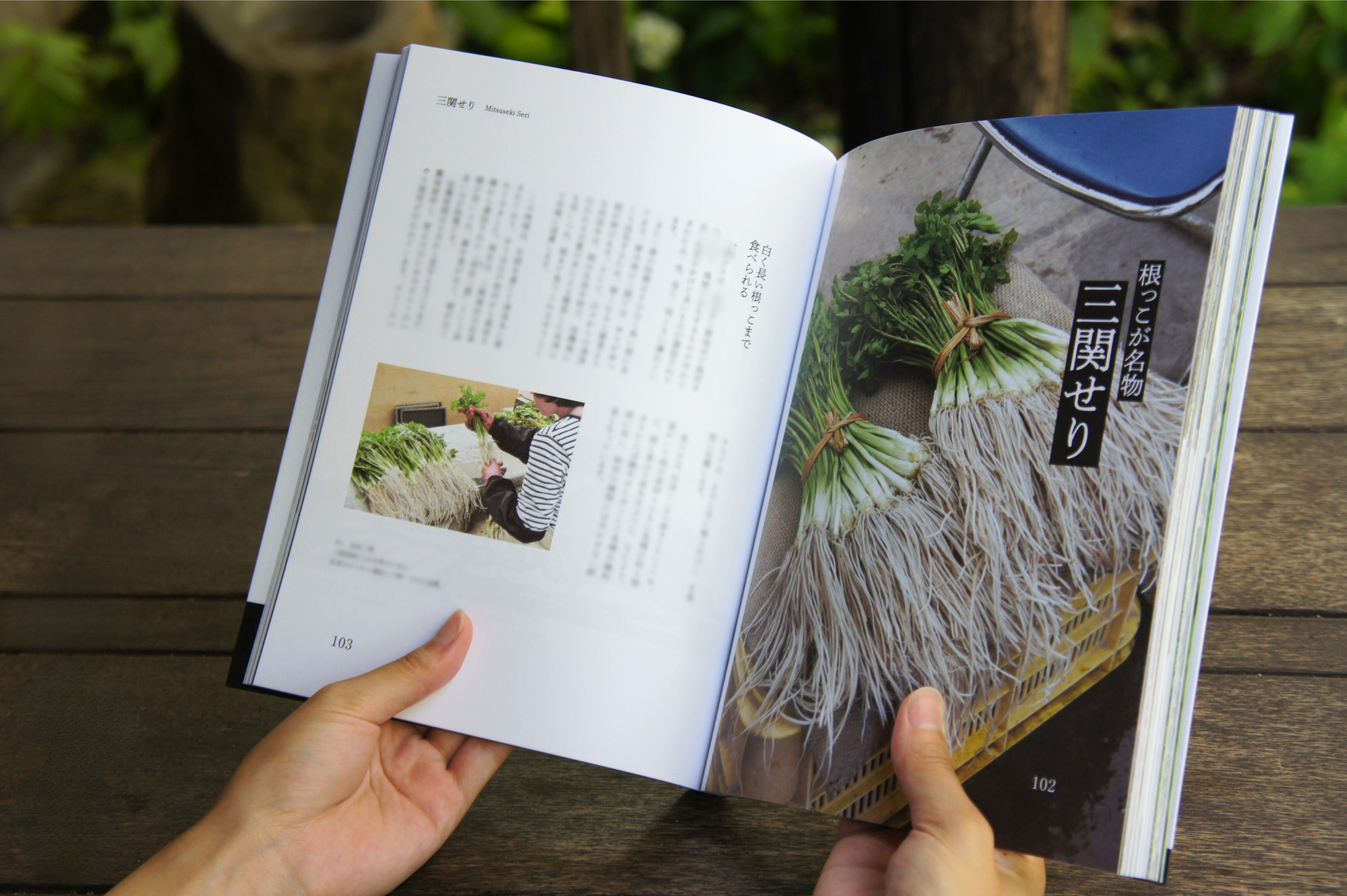 種と人の物語