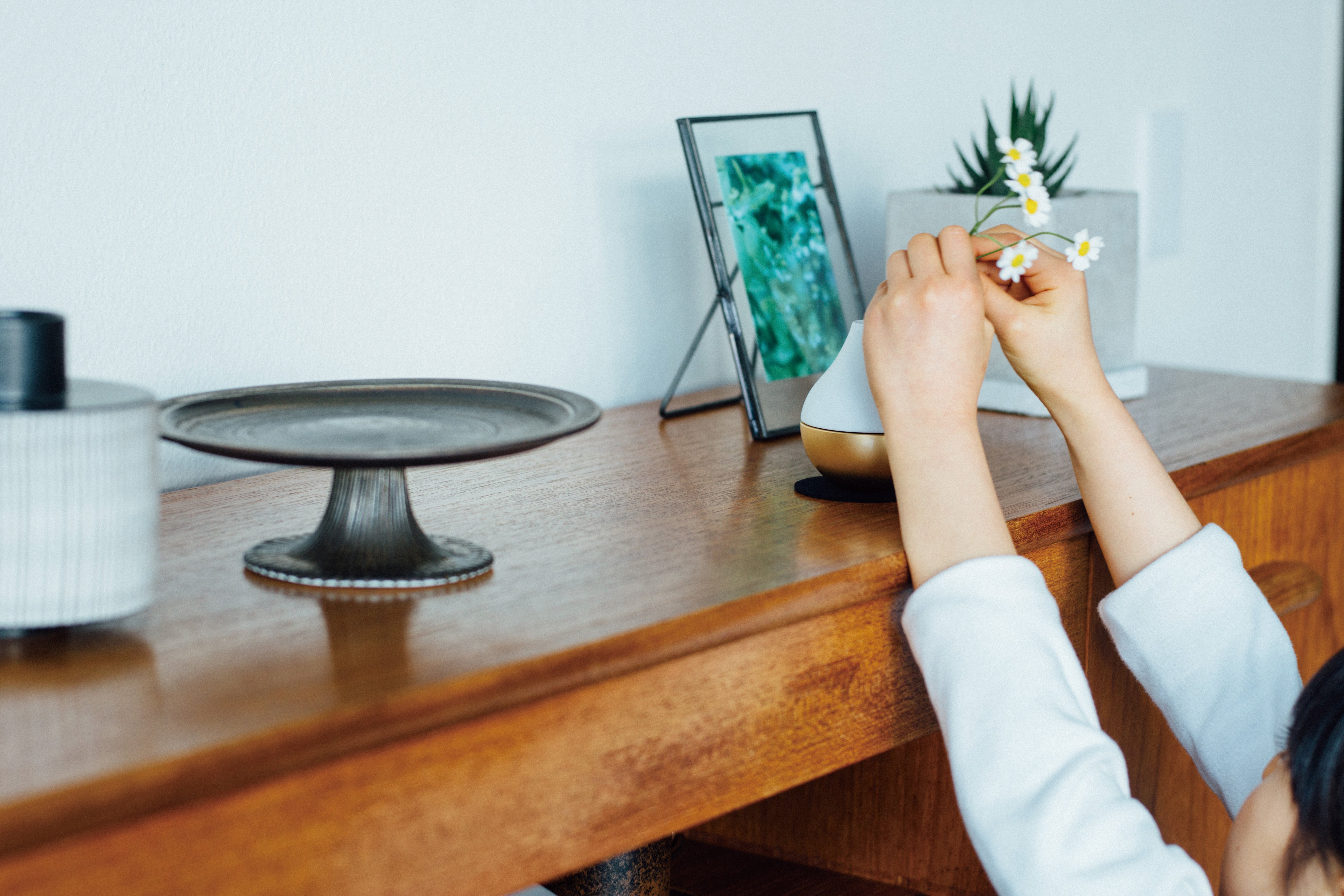 Sotto Potterin＜金＞