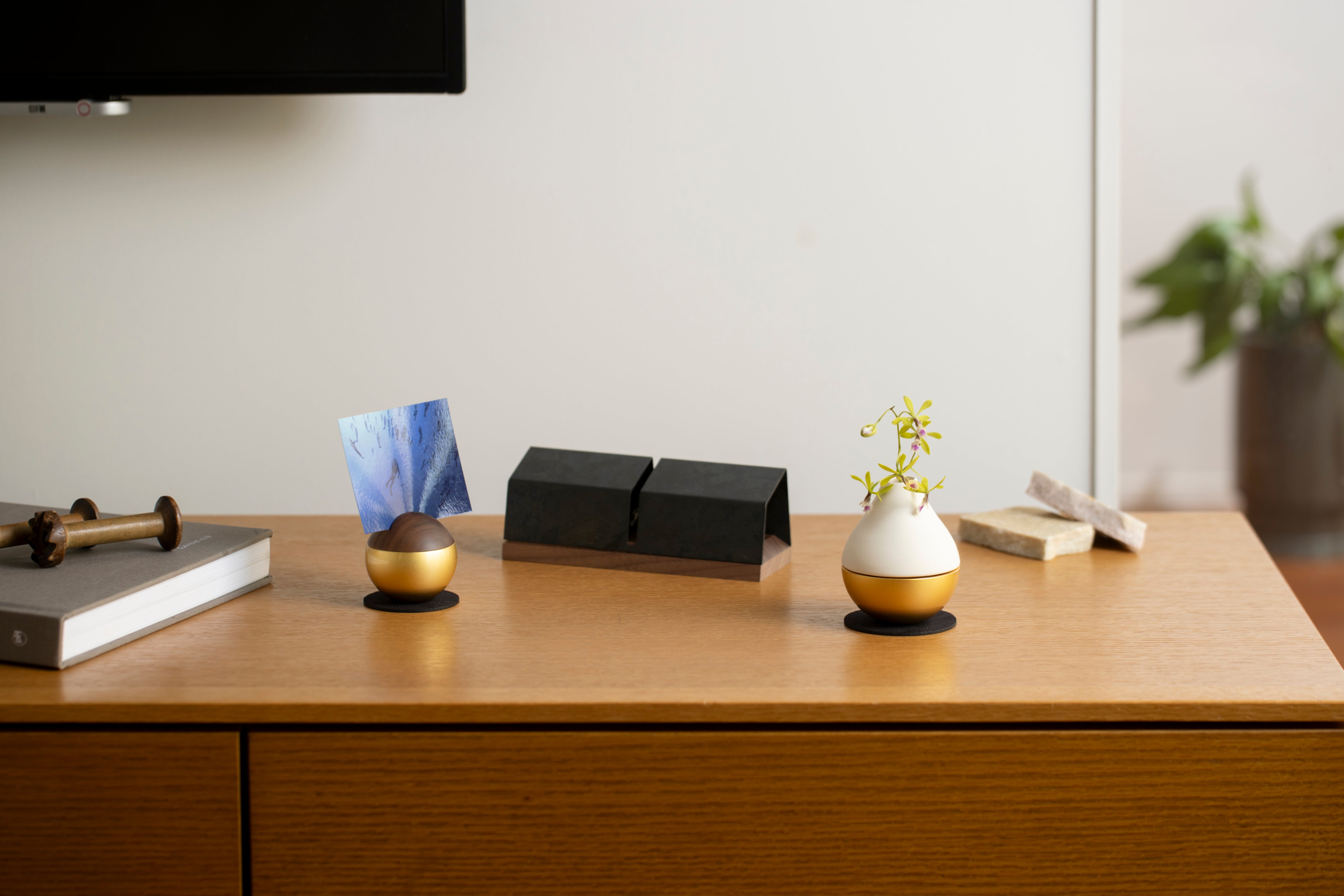 Sotto Potterin＜金＞