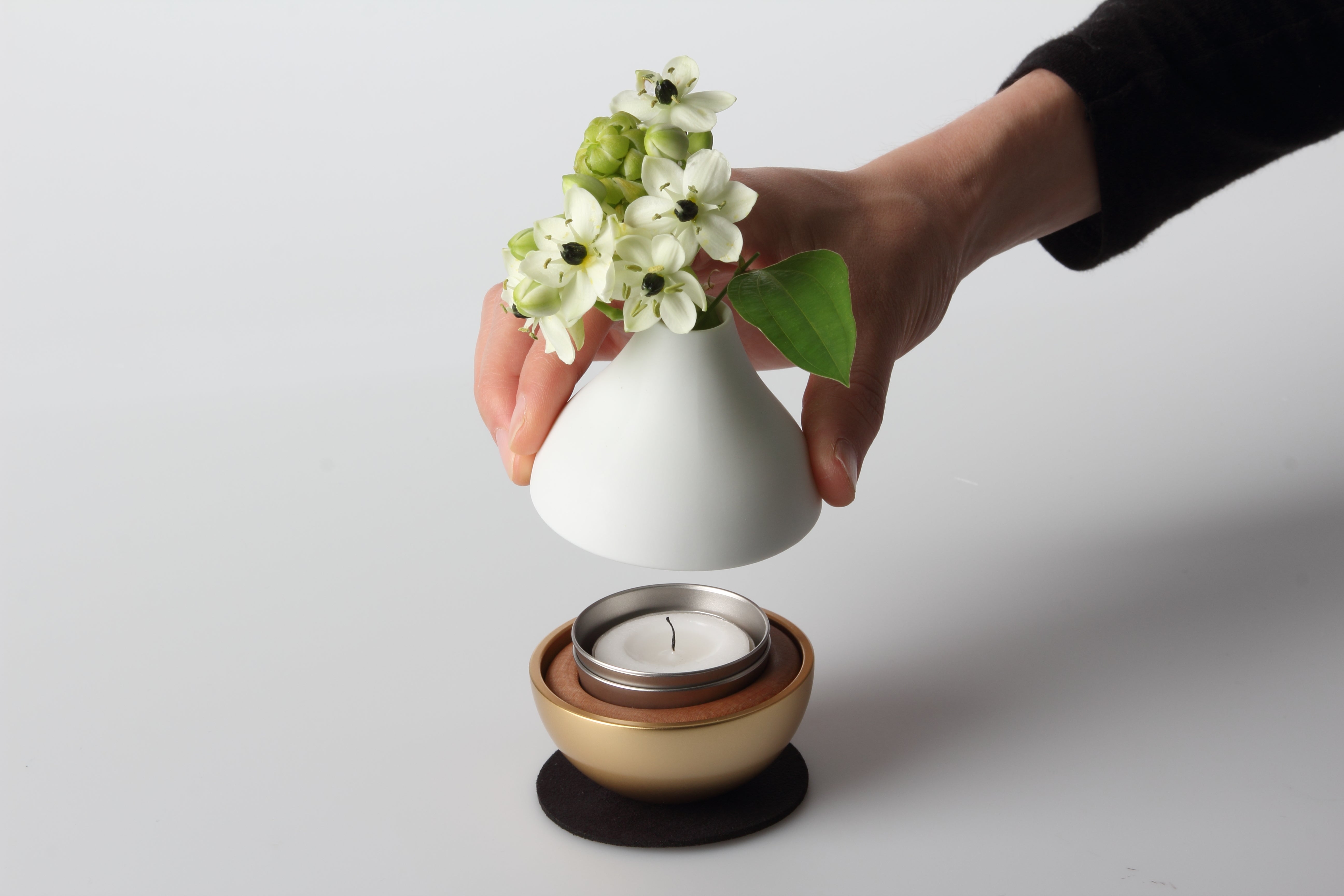 Sotto Potterin＜金＞